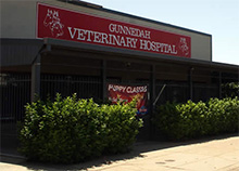Gunnedah Veterinary Hospital