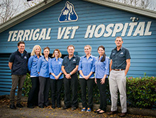 Terrigal Veterinary Hospital